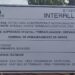 Sem licença, Grupo INTERALLI devasta Manguezal em São Luís