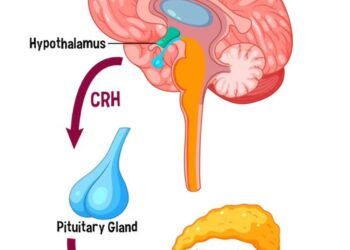 A Coletividade como um Atributo da Alma