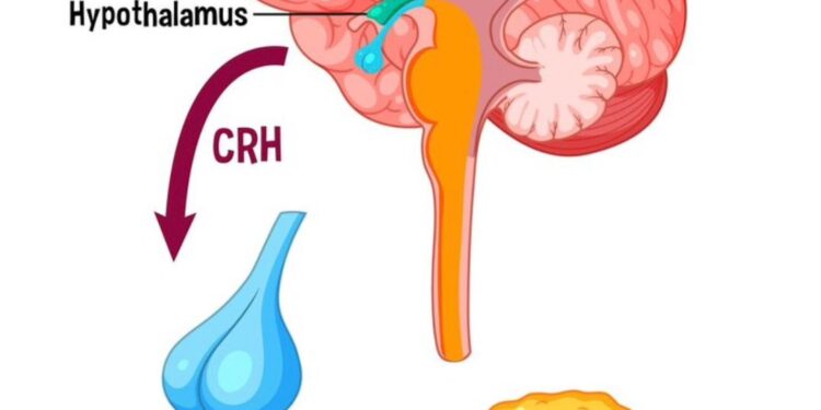 A Coletividade como um Atributo da Alma